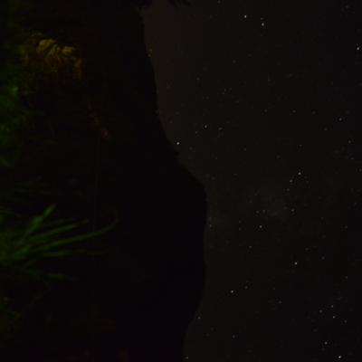 DSC_0288.JPG