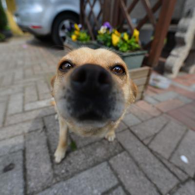 Foto nel campo 2 02.04.2017