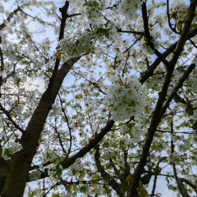 DSC_9789.jpg