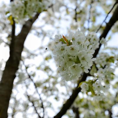 DSC_9790.jpg
