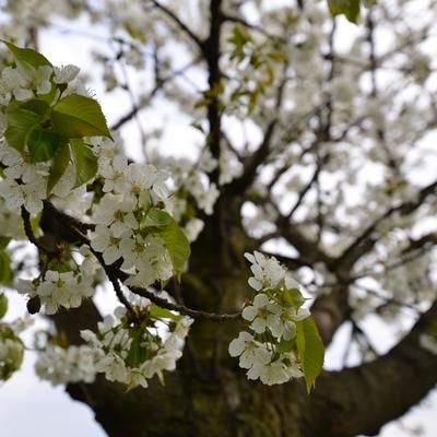 DSC_9794.jpg