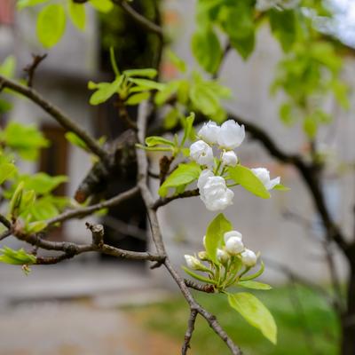 DSC_9806.jpg