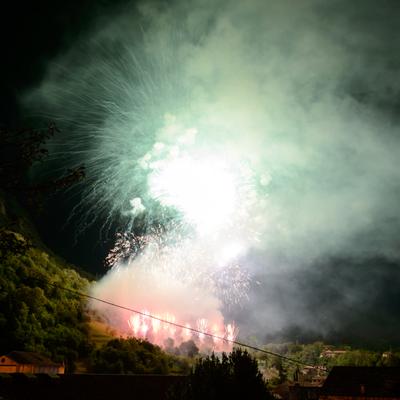 DSC_2221.jpg