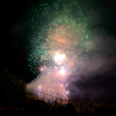 DSC_2232.jpg
