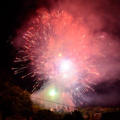 DSC_2237.jpg