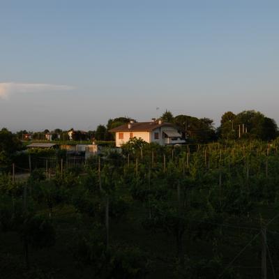 DSC_4195.JPG