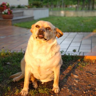 DSC_4197.JPG