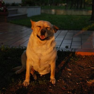 DSC_4198.JPG