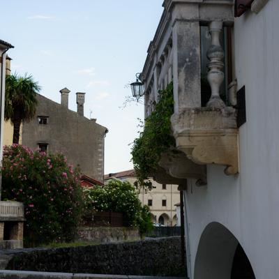 DSC_2438.jpg