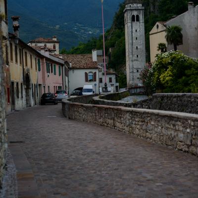 DSC_2459.jpg
