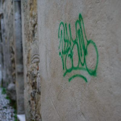 DSC_2465.jpg