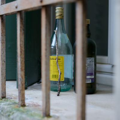 DSC_2468.jpg