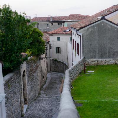 DSC_2471.jpg