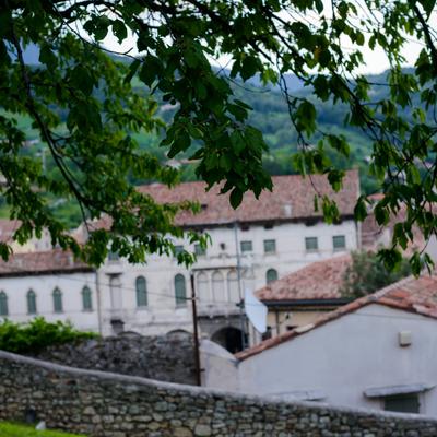 DSC_2474.jpg