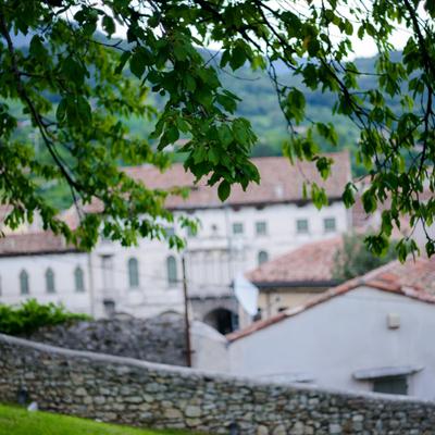 DSC_2475.jpg