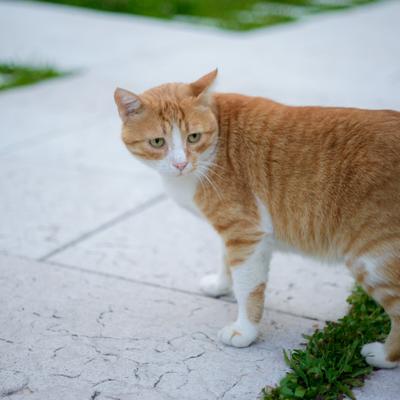 DSC_2491.jpg