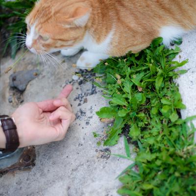 DSC_2493.jpg