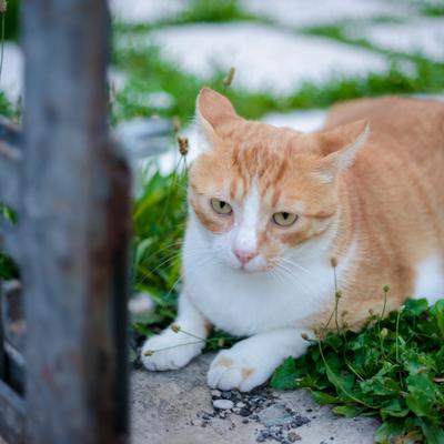 DSC_2495.jpg