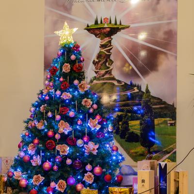 DSC_2462.jpg