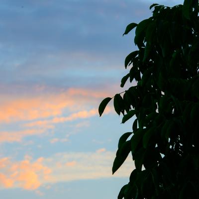 DSC_7428.jpg