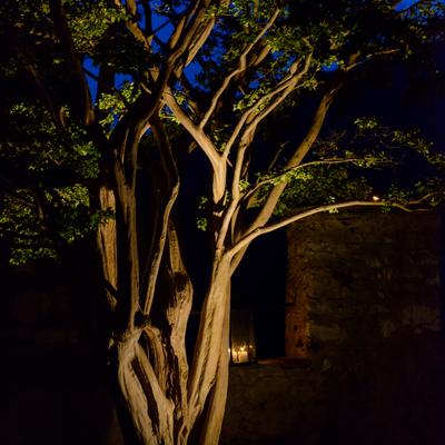 DSC_4089.jpg