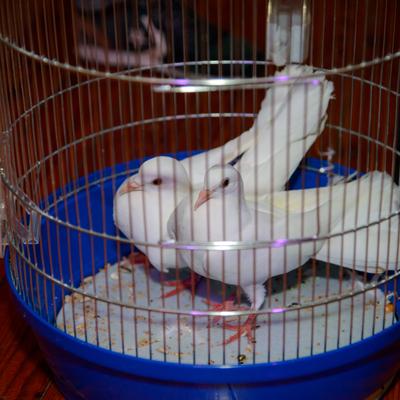 DSC_1562.jpg