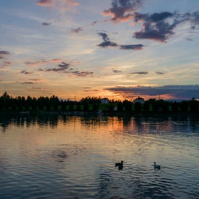 DSC_1142.jpg