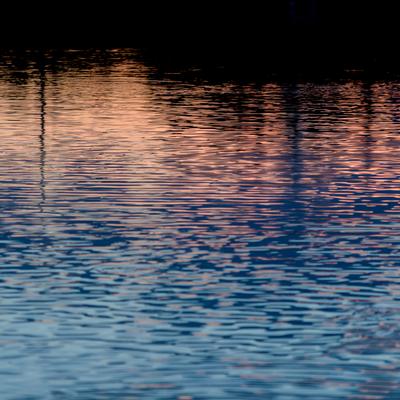 DSC_1215.jpg