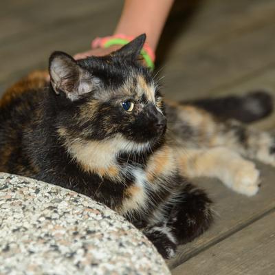 DSC_3238.jpg