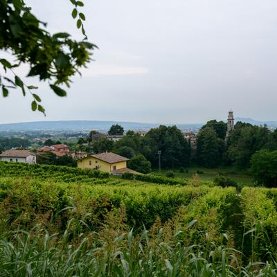 senza titolo-10.jpg