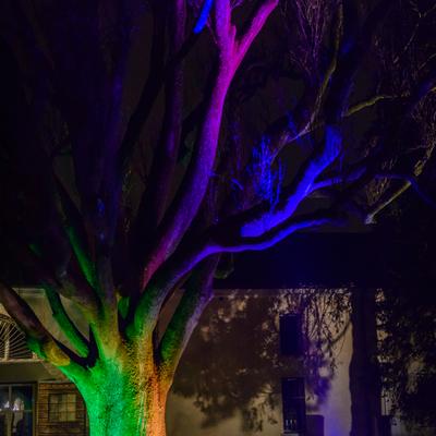 DSC_6672.jpg