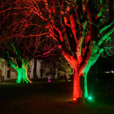 DSC_6854.jpg