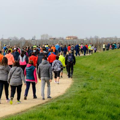 DSC_3605.jpg