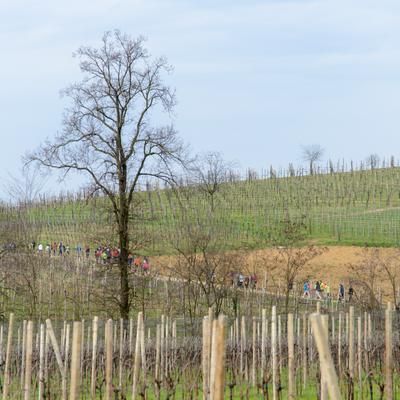 DSC_3656.jpg