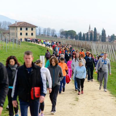 DSC_3675.jpg