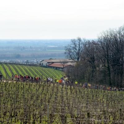 DSC_3794.jpg