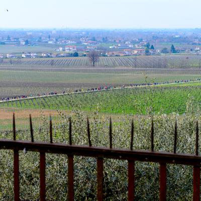 DSC_4796.jpg