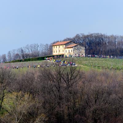 DSC_4823.jpg