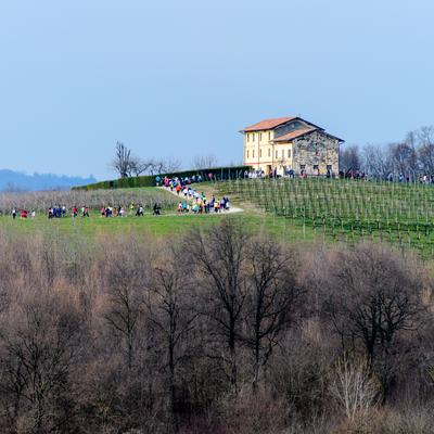 DSC_4827.jpg