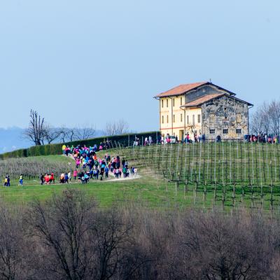 DSC_4829.jpg