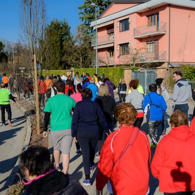 DSC_0059.jpg
