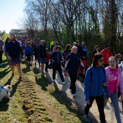 DSC_0173.jpg