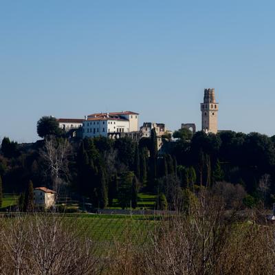 DSC_0180.jpg