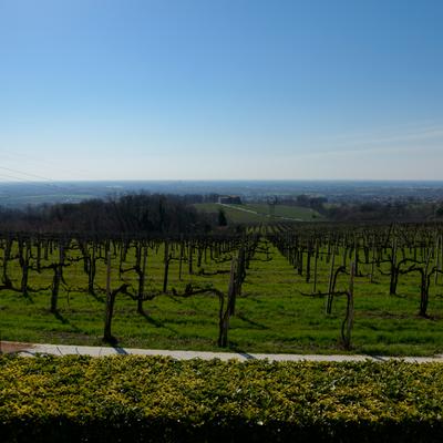 DSC_0217.jpg