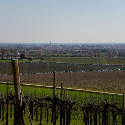 DSC_0279.jpg