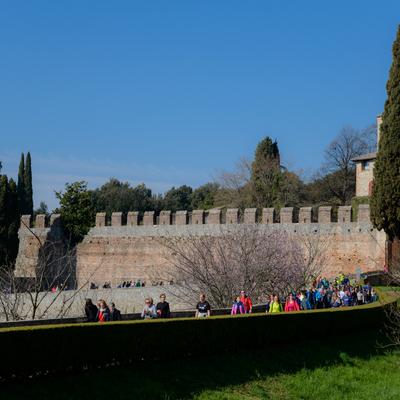 DSC_0289.jpg