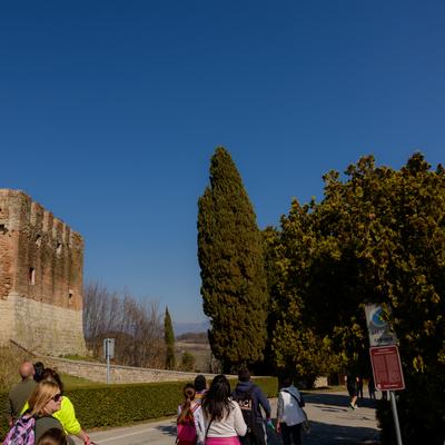 DSC_0292.jpg