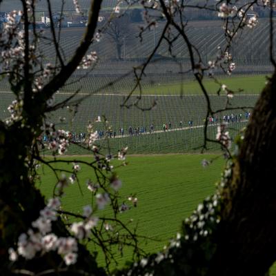 FSC_0014.jpg