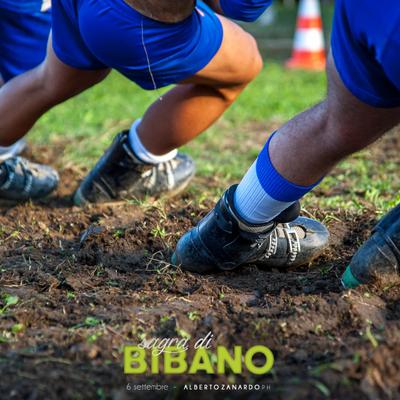 SagradiBibano5-1a.jpg