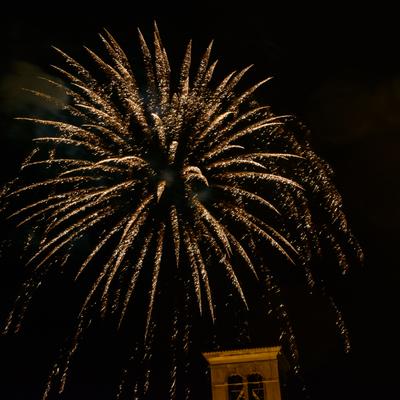 DSC_2520.jpg